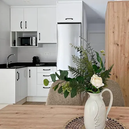 Apartament Picu Malaga